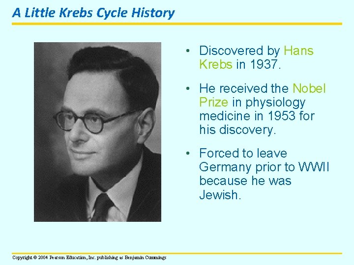 A Little Krebs Cycle History • Discovered by Hans Krebs in 1937. • He