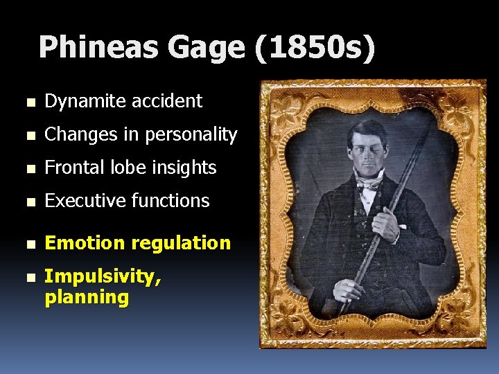 Phineas Gage (1850 s) n Dynamite accident n Changes in personality n Frontal lobe