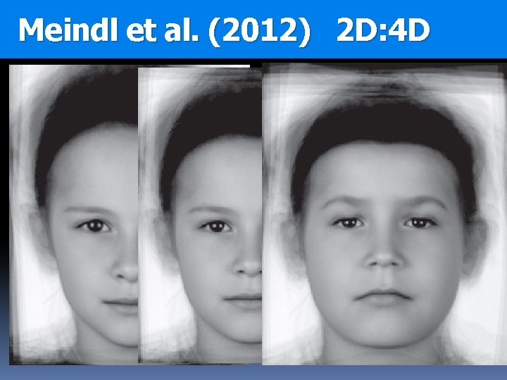 Meindl et al. (2012) 2 D: 4 D 