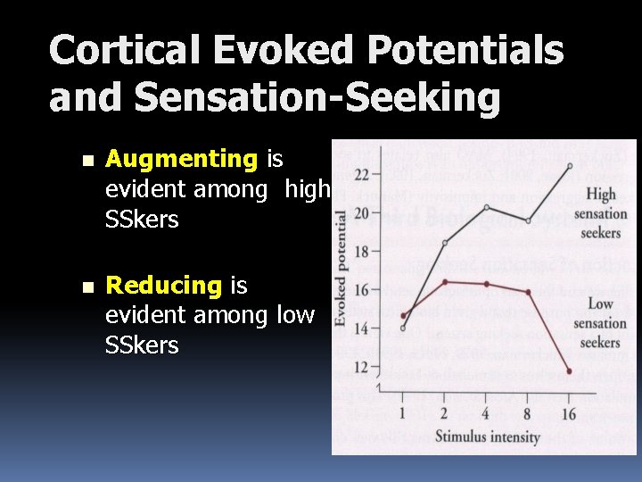 Cortical Evoked Potentials and Sensation-Seeking n Augmenting is evident among high SSkers n Reducing