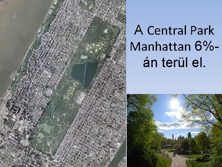 A Central Park Manhattan 6%án terül el. 