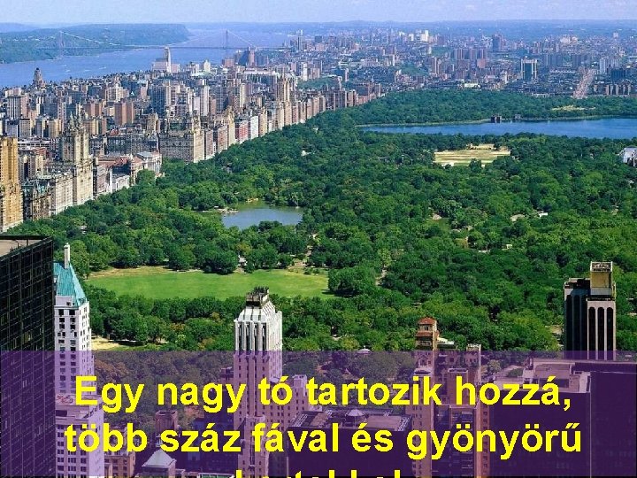 Egy nagy tó tartozik hozzá, több száz fával és gyönyörű 