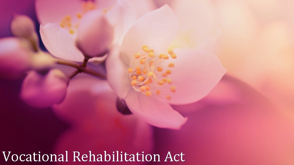 Vocational Rehabilitation Act Vocational Rehabilitation Act