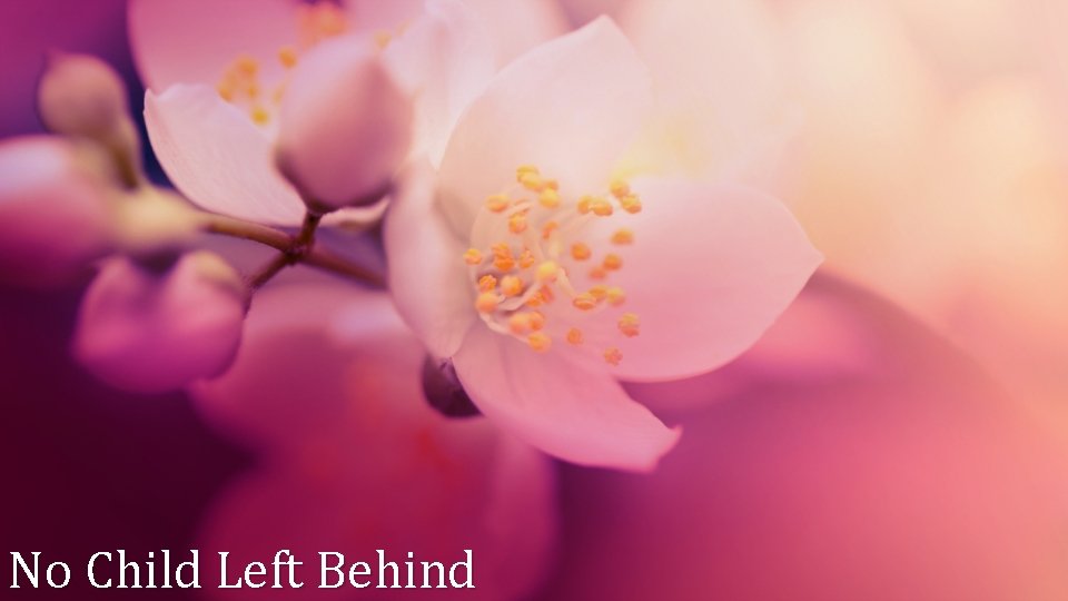 No Child Left Behind No Child Left Behind