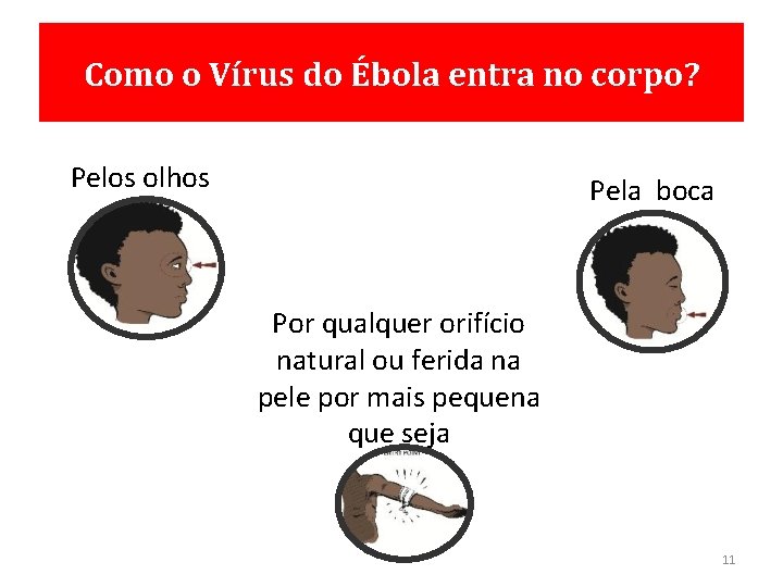 Como o Vírus do Ébola entra no corpo? Pelos olhos Pela boca Por qualquer