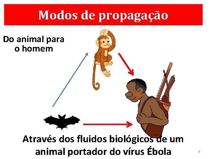 Modos de propagação Do animal para o homem Através dos fluidos biológicos de um