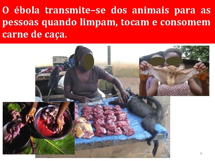 O ébola transmite–se dos animais para as pessoas quando limpam, tocam e consomem carne