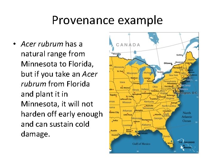 Provenance example • Acer rubrum has a natural range from Minnesota to Florida, but
