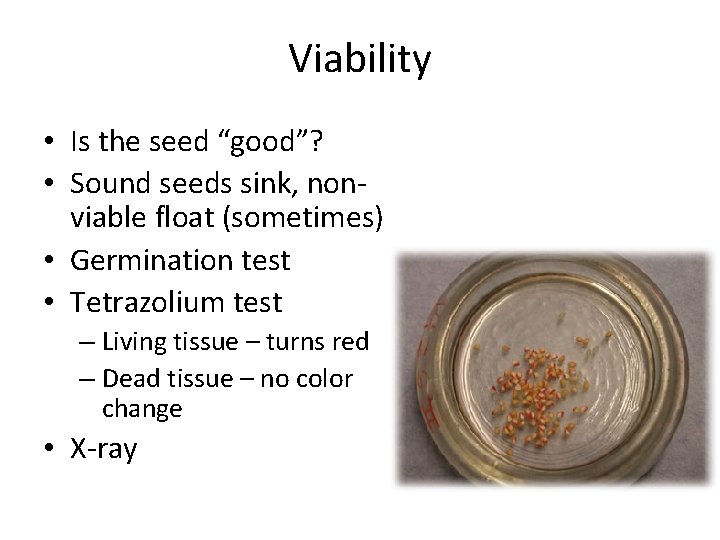 Viability • Is the seed “good”? • Sound seeds sink, nonviable float (sometimes) •