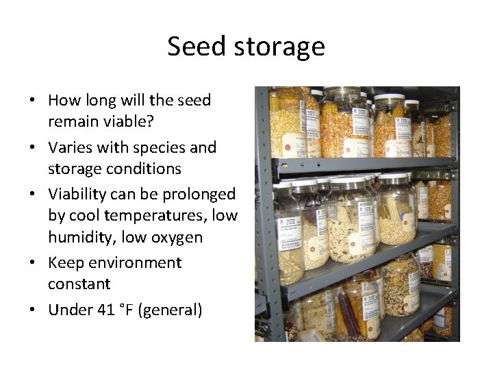 Seed storage • How long will the seed remain viable? • Varies with species