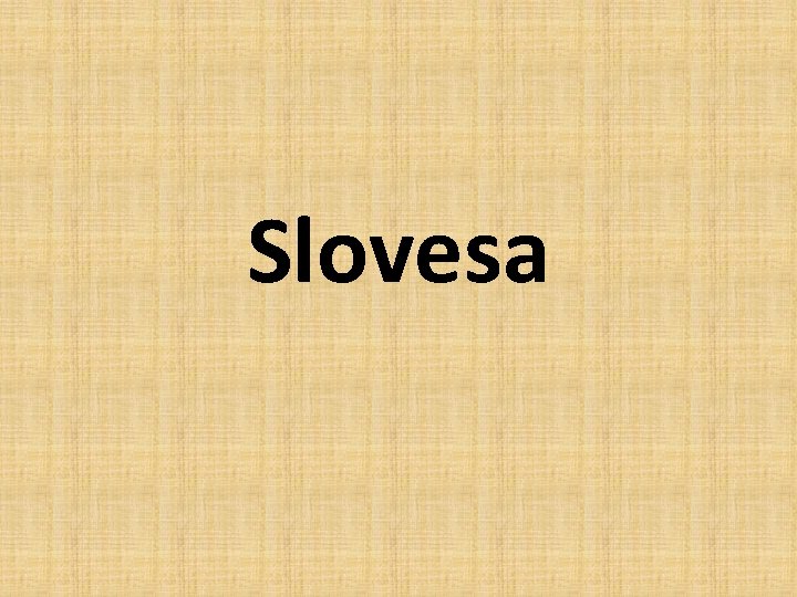 Slovesa 