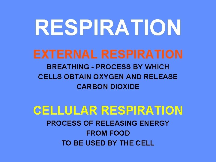 RESPIRATION EXTERNAL RESPIRATION BREATHING - PROCESS BY WHICH CELLS OBTAIN OXYGEN AND RELEASE CARBON