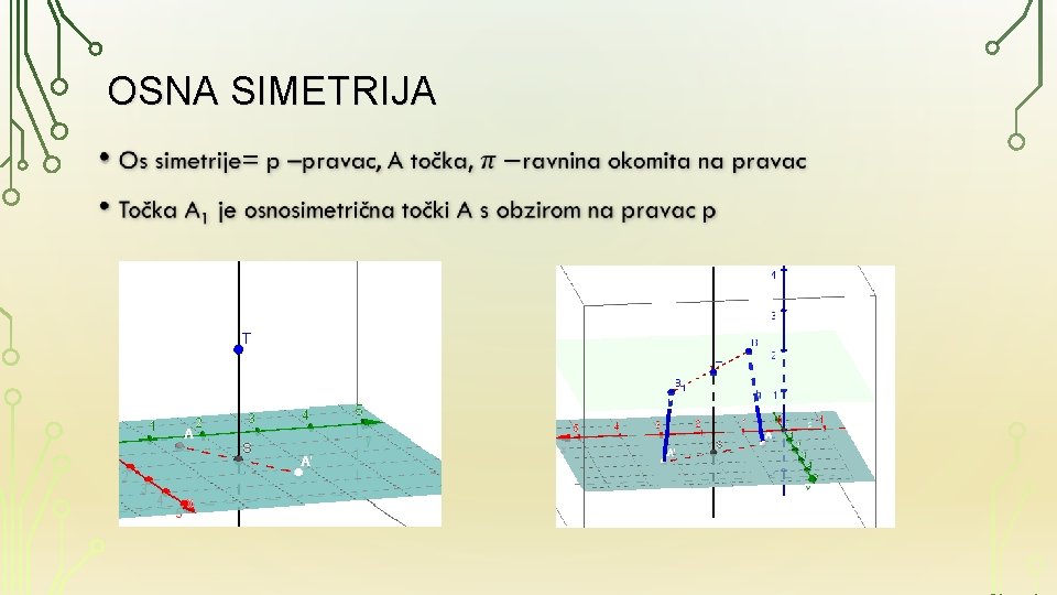 OSNA SIMETRIJA • 