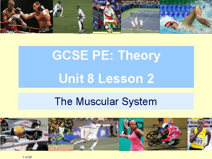 GCSE PE: Theory Unit 8 Lesson 2 The Muscular System 1 of 28 