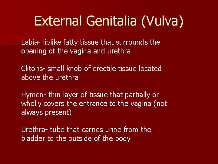 External Genitalia (Vulva) Labia- liplike fatty tissue that surrounds the opening of the vagina