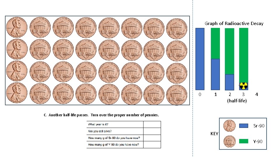 Graph of Radioactive Decay 0 1 2 3 (half-life) 4 C. Another half-life passes.