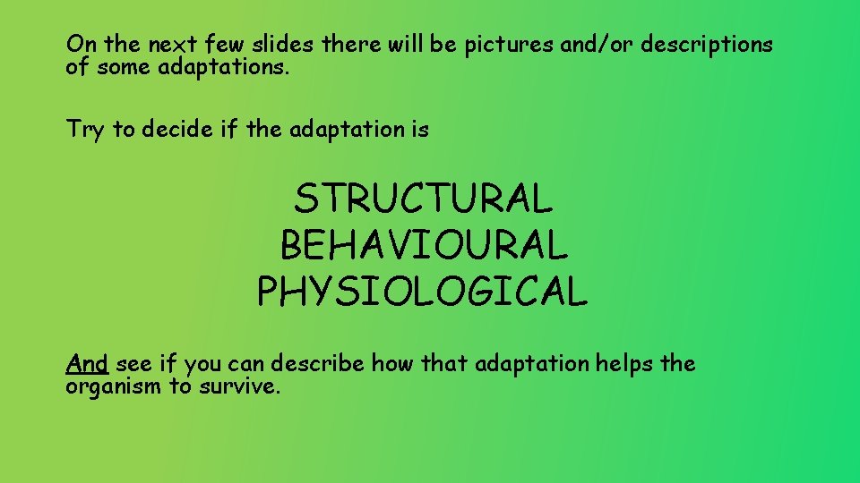 On the next few slides there will be pictures and/or descriptions of some adaptations.