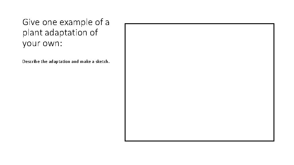 Give one example of a plant adaptation of your own: Describe the adaptation and