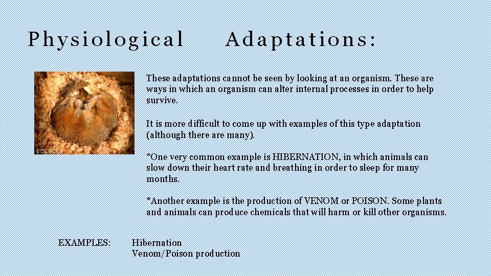 Physiological Adaptations: These adaptations cannot be seen by looking at an organism. These are