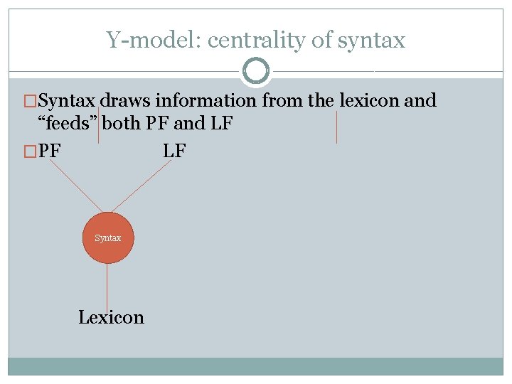 Y-model: centrality of syntax �Syntax draws information from the lexicon and “feeds” both PF