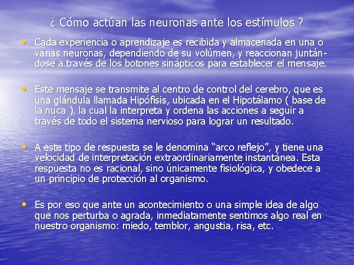 ¿ Cómo actúan las neuronas ante los estímulos ? • Cada experiencia o aprendizaje