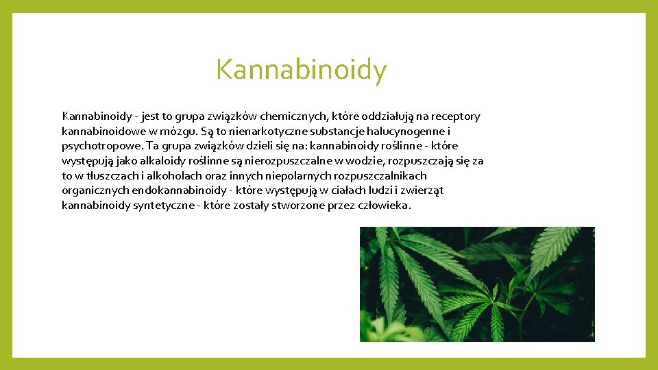 Kannabinoidy - jest to grupa związków chemicznych, które oddziałują na receptory kannabinoidowe w mózgu.