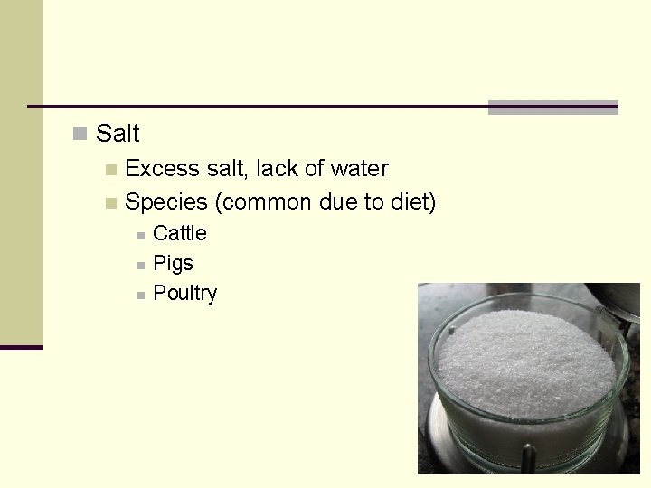n Salt n Excess salt, lack of water n Species (common due to diet)