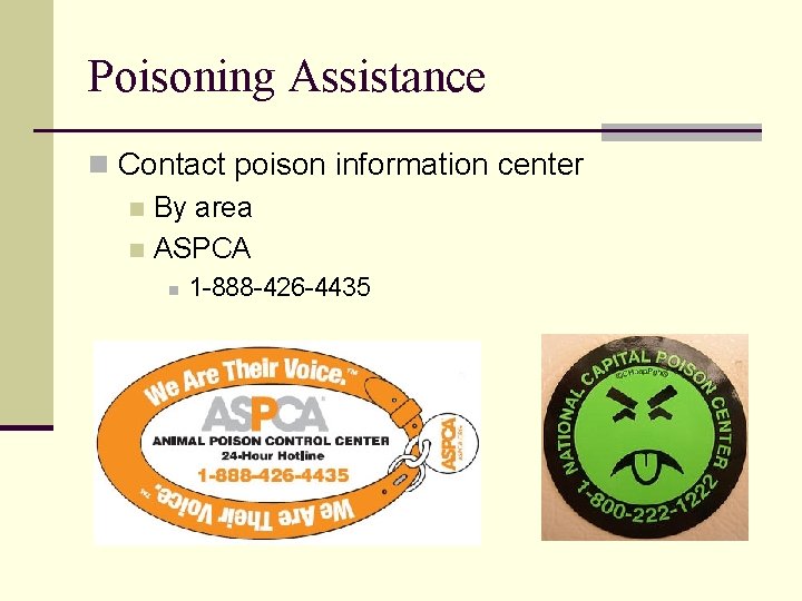 Poisoning Assistance n Contact poison information center n By area n ASPCA n 1