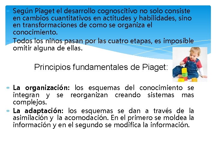  Según Piaget el desarrollo cognoscitivo no solo consiste en cambios cuantitativos en actitudes