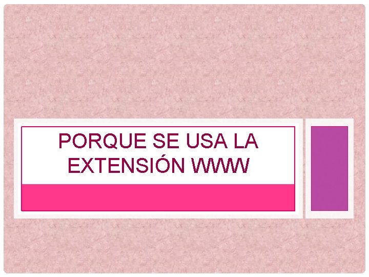 PORQUE SE USA LA EXTENSIÓN WWW 