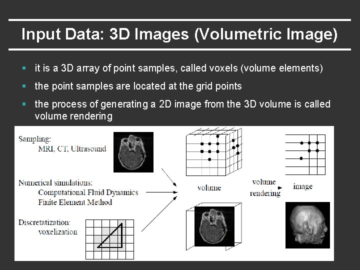 Input Data: 3 D Images (Volumetric Image) § it is a 3 D array