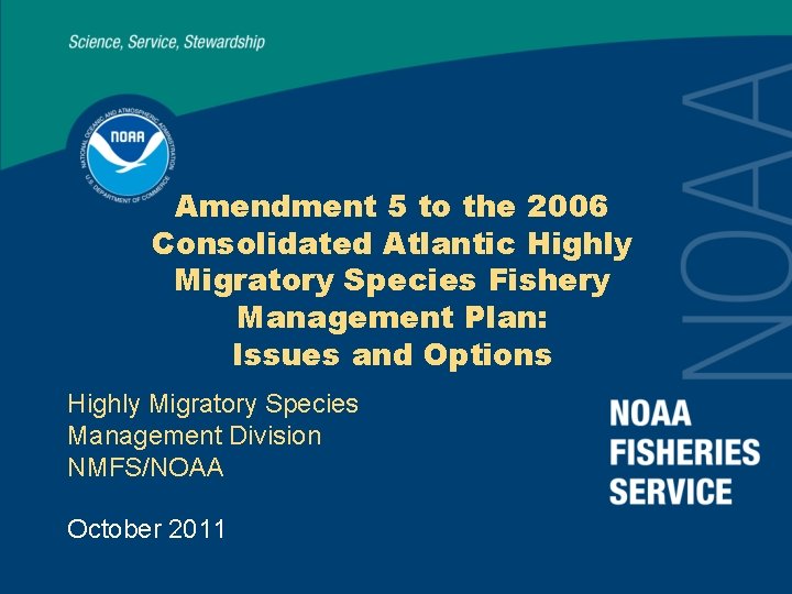 Amendment 5 to the 2006 Consolidated Atlantic Highly Migratory Species Fishery Management Plan: Issues