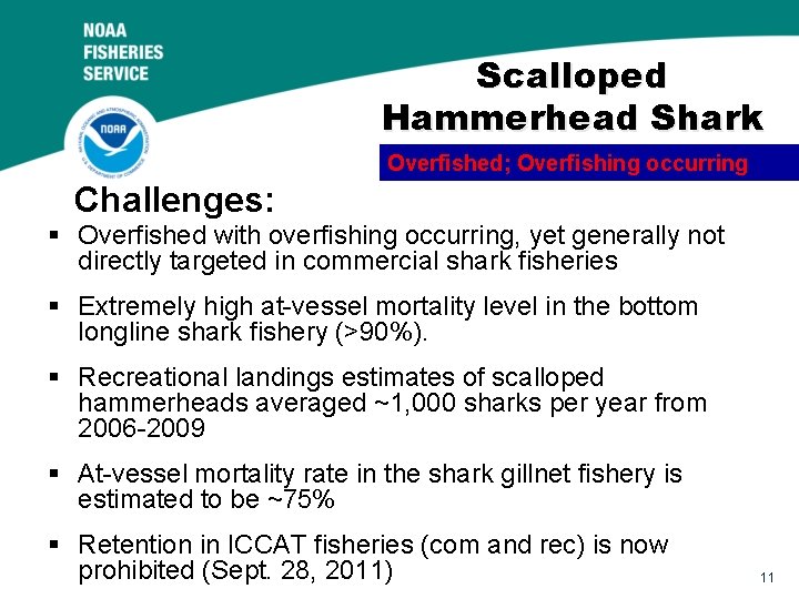 Scalloped Hammerhead Shark Overfished; Overfishing occurring Challenges: § Overfished with overfishing occurring, yet generally