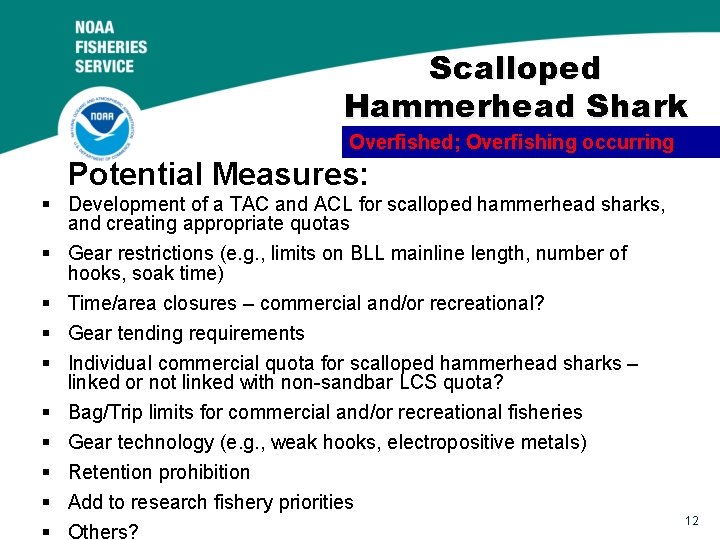 Scalloped Hammerhead Shark Overfished; Overfishing occurring Potential Measures: § Development of a TAC and