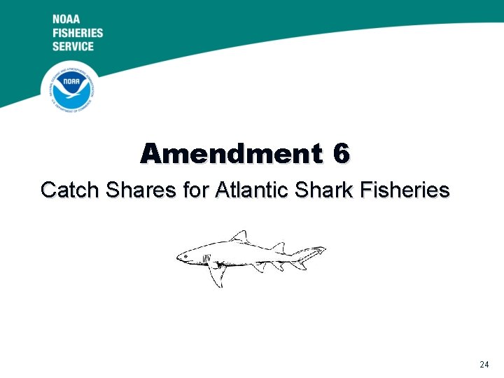 Amendment 6 Catch Shares for Atlantic Shark Fisheries 24 
