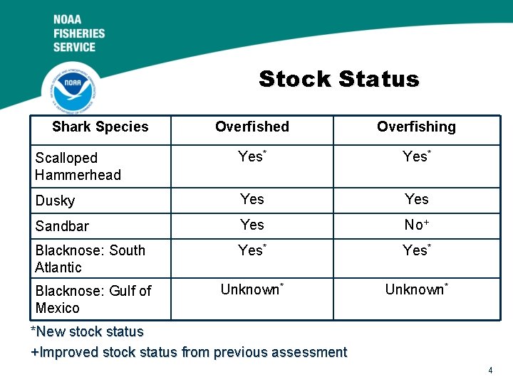 Stock Status Shark Species Overfished Overfishing Scalloped Hammerhead Yes* Dusky Yes Sandbar Yes No+