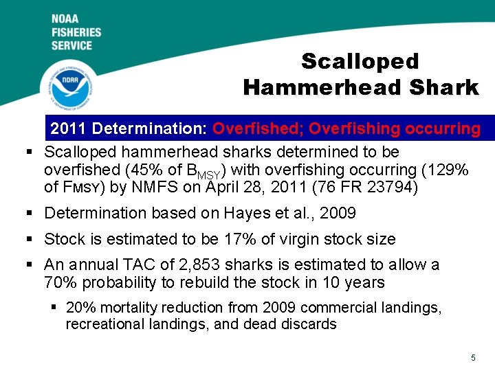 Scalloped Hammerhead Shark 2011 Determination: Overfished; Overfishing occurring § Scalloped hammerhead sharks determined to