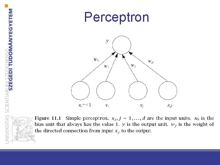 Perceptron 