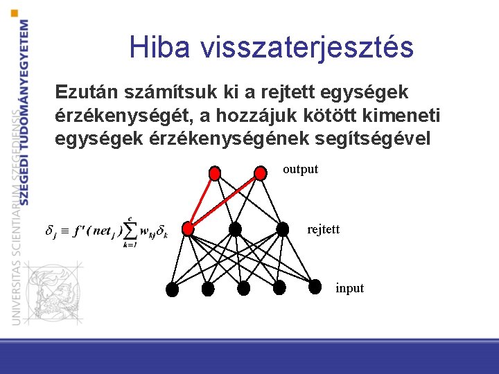 Hiba visszaterjesztés Ezután számítsuk ki a rejtett egységek érzékenységét, a hozzájuk kötött kimeneti egységek