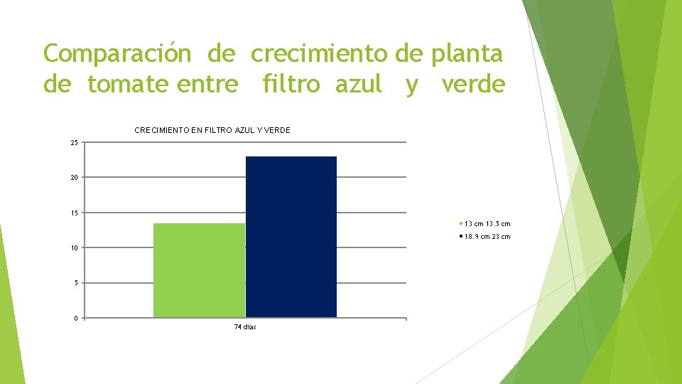 Comparación de crecimiento de planta de tomate entre filtro azul y verde CRECIMIENTO EN