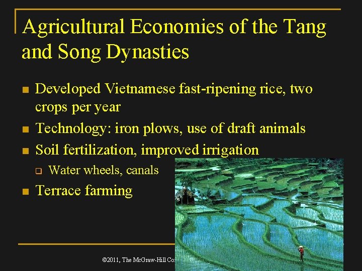 Agricultural Economies of the Tang and Song Dynasties n n n Developed Vietnamese fast-ripening