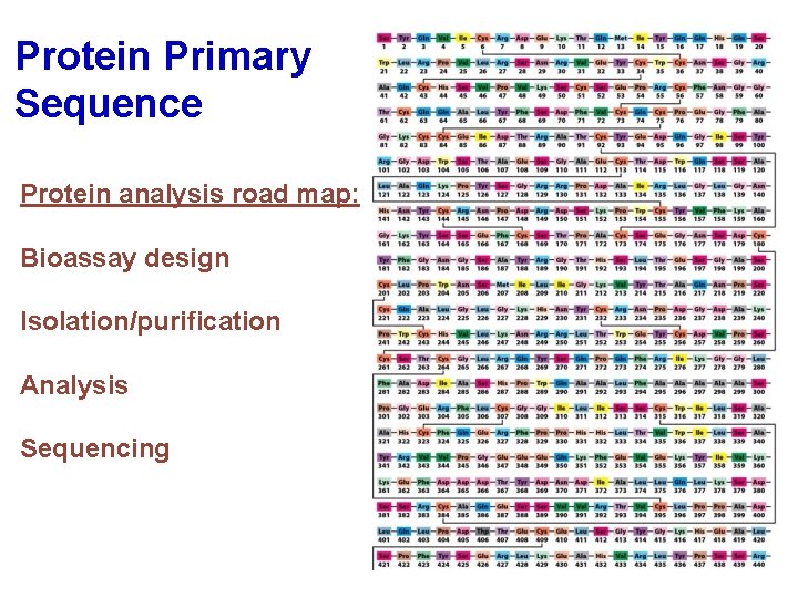 Protein Primary Sequence Protein analysis road map: Bioassay design Isolation/purification Analysis Sequencing 