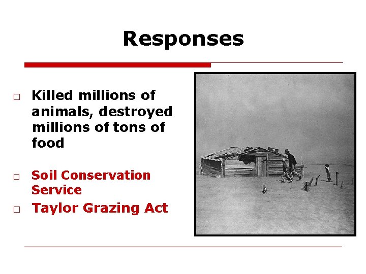 Responses □ Killed millions of animals, destroyed millions of tons of food □ Soil