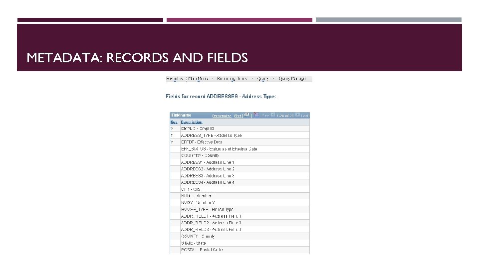 METADATA: RECORDS AND FIELDS 