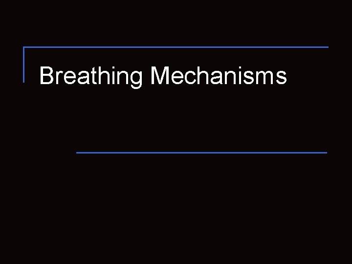 Breathing Mechanisms 