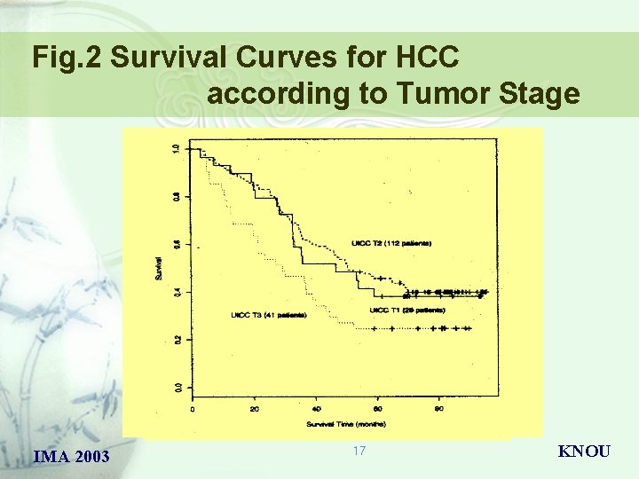 Fig. 2 Survival Curves for HCC according to Tumor Stage IMA 2003 17 KNOU