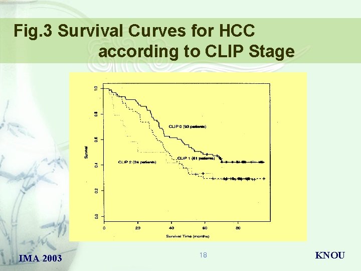 Fig. 3 Survival Curves for HCC according to CLIP Stage IMA 2003 18 KNOU