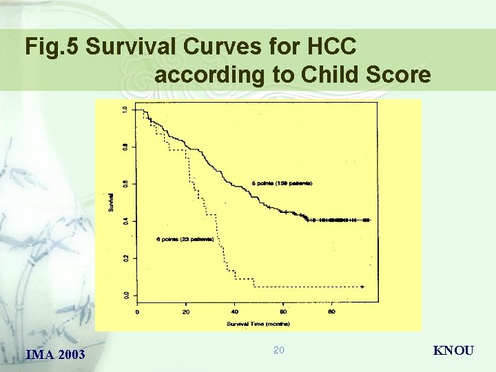 Fig. 5 Survival Curves for HCC according to Child Score IMA 2003 20 KNOU