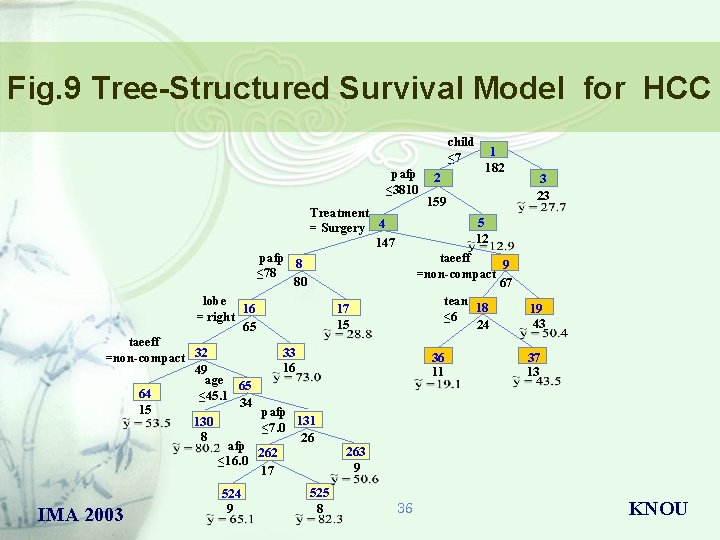 Fig. 9 Tree-Structured Survival Model for HCC child ≤ 7 pafp ≤ 3810 pafp