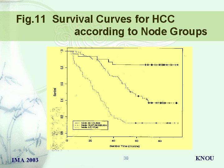 Fig. 11 Survival Curves for HCC according to Node Groups IMA 2003 38 KNOU